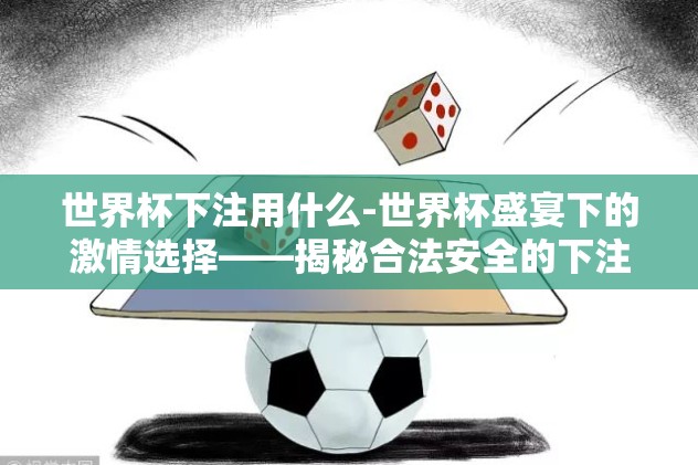 世界杯下注用什么-世界杯盛宴下的激情选择——揭秘合法安全的下注途径