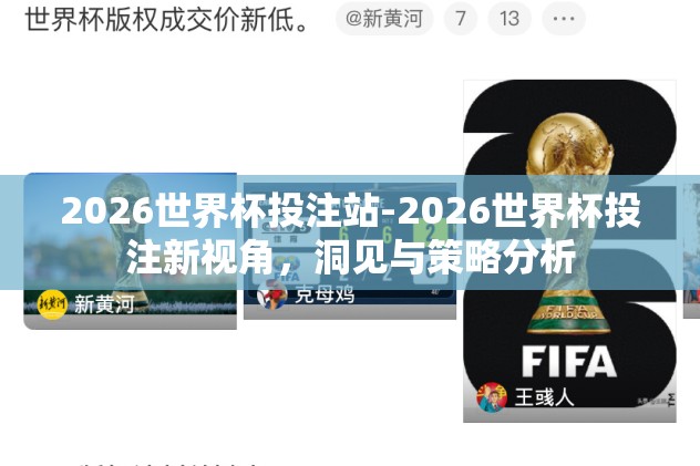 2026世界杯投注站-2026世界杯投注新视角，洞见与策略分析