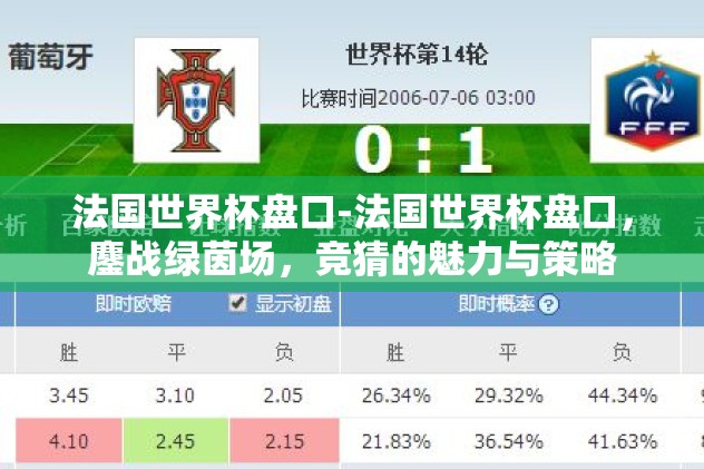 法国世界杯盘口-法国世界杯盘口，鏖战绿茵场，竞猜的魅力与策略