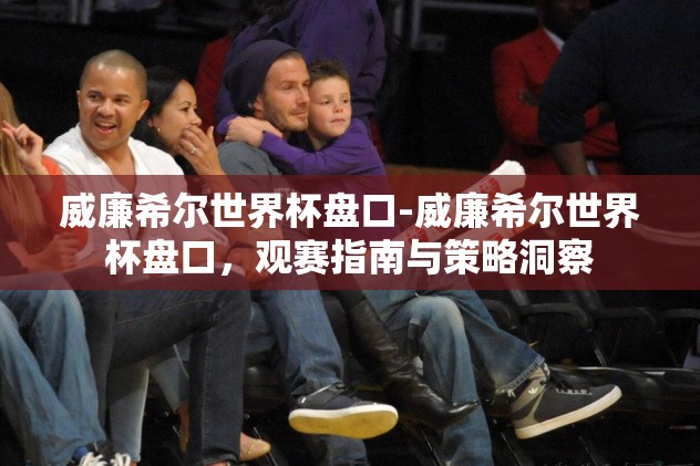 威廉希尔世界杯盘口-威廉希尔世界杯盘口，观赛指南与策略洞察