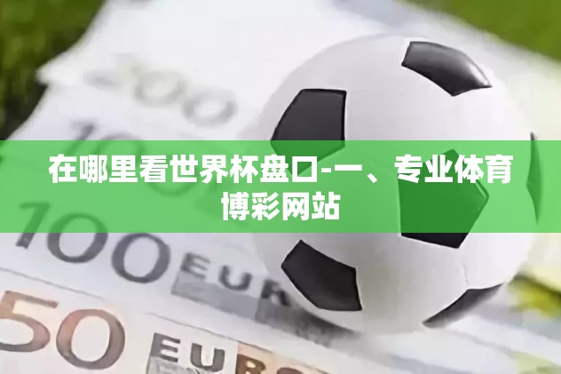 在哪里看世界杯盘口-一、专业体育博彩网站