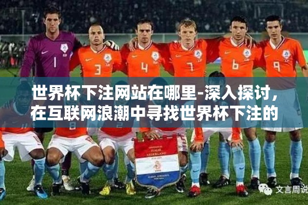 世界杯下注网站在哪里-深入探讨，在互联网浪潮中寻找世界杯下注的可靠站点