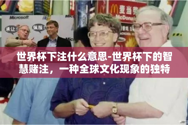 世界杯下注什么意思-世界杯下的智慧赌注，一种全球文化现象的独特视角