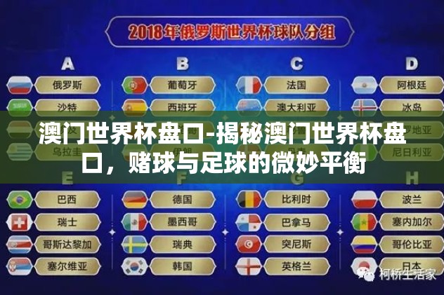 澳门世界杯盘口-揭秘澳门世界杯盘口，赌球与足球的微妙平衡