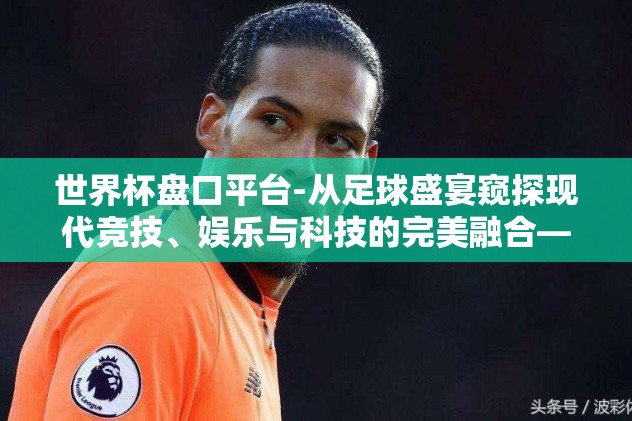 世界杯盘口平台-从足球盛宴窥探现代竞技、娱乐与科技的完美融合——世界杯盘口平台的前景与影响分析