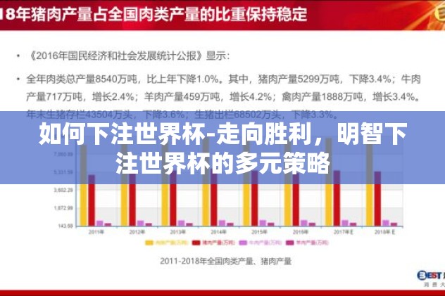 如何下注世界杯-走向胜利，明智下注世界杯的多元策略