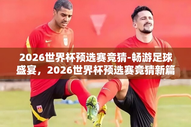 2026世界杯预选赛竞猜-畅游足球盛宴，2026世界杯预选赛竞猜新篇章