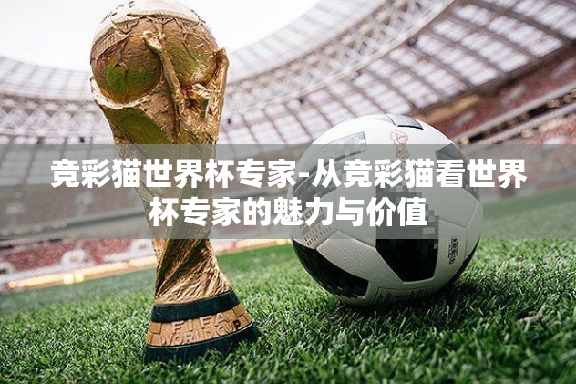竞彩猫世界杯专家-从竞彩猫看世界杯专家的魅力与价值