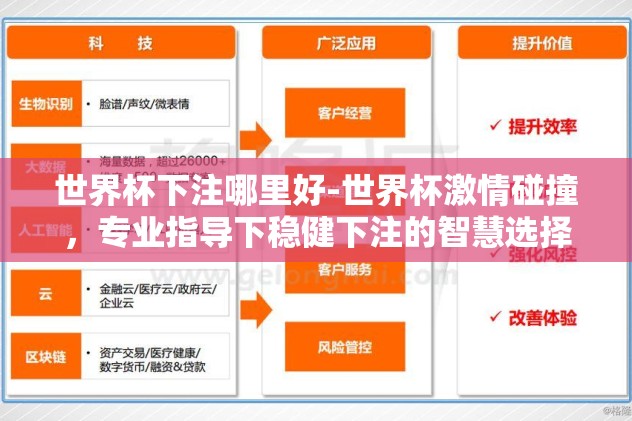 世界杯下注哪里好-世界杯激情碰撞，专业指导下稳健下注的智慧选择