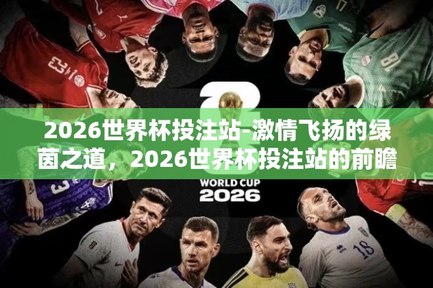 2026世界杯投注站-激情飞扬的绿茵之道，2026世界杯投注站的前瞻视角