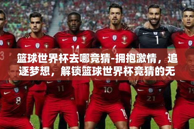 篮球世界杯去哪竞猜-拥抱激情，追逐梦想，解锁篮球世界杯竞猜的无限乐趣