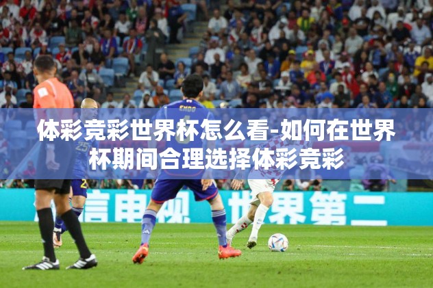 体彩竞彩世界杯怎么看-如何在世界杯期间合理选择体彩竞彩