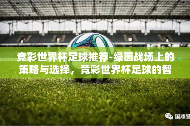 竞彩世界杯足球推荐-绿茵战场上的策略与选择,竞彩世界杯足球的智慧 竞彩世界杯足球推荐-绿茵战场上的策略与选择,竞彩世界杯足球的智慧