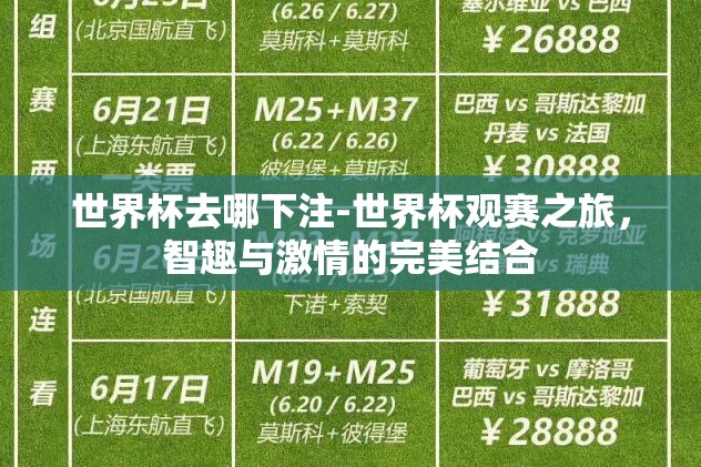 世界杯去哪下注-世界杯观赛之旅，智趣与激情的完美结合
