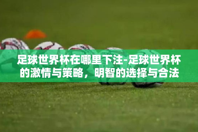 足球世界杯在哪里下注-足球世界杯的激情与策略，明智的选择与合法下注