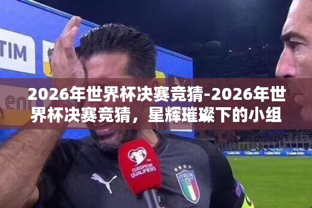2026年世界杯决赛竞猜-2026年世界杯决赛竞猜，星辉璀璨下的小组赛预测