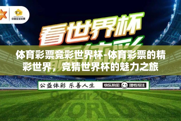 世界杯怎么买球胜率高-掌握技巧，在世界杯中提高选球胜率的智慧策略