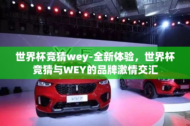 世界杯竞猜wey-全新体验，世界杯竞猜与WEY的品牌激情交汇