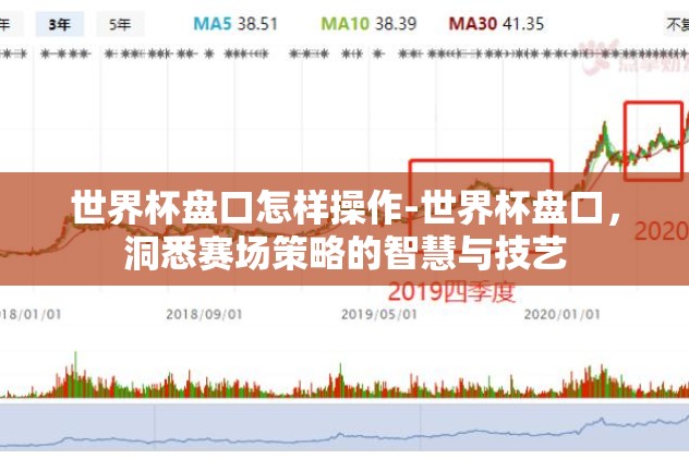 世界杯盘口怎样操作-世界杯盘口，洞悉赛场策略的智慧与技艺