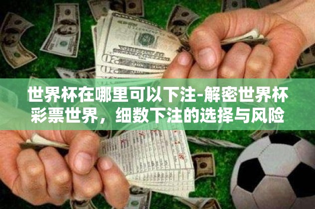 世界杯在哪里可以下注-解密世界杯彩票世界,细数下注的选择与风险 世界杯在哪里可以下注-解密世界杯彩票世界,细数下注的选择与风险