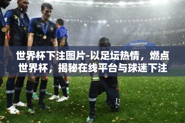 世界杯下注图片-以足坛热情，燃点世界杯，揭秘在线平台与球迷下注的视觉盛宴