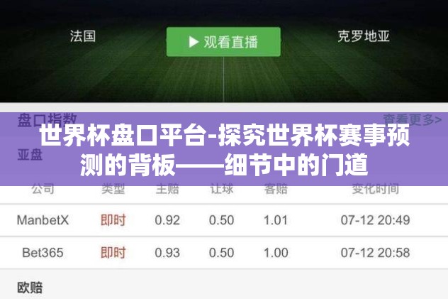 世界杯盘口平台-探究世界杯赛事预测的背板——细节中的门道 世界杯盘口平台-探究世界杯赛事预测的背板——细节中的门道