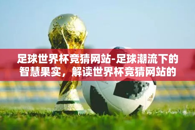 世界杯盘口赔率解释-世界杯热度密码——探索盘口赔率的奥秘