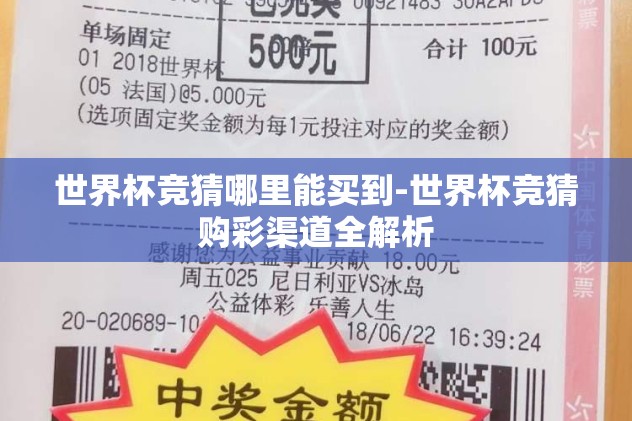 世界杯盘口赔率解释-世界杯热度密码——探索盘口赔率的奥秘