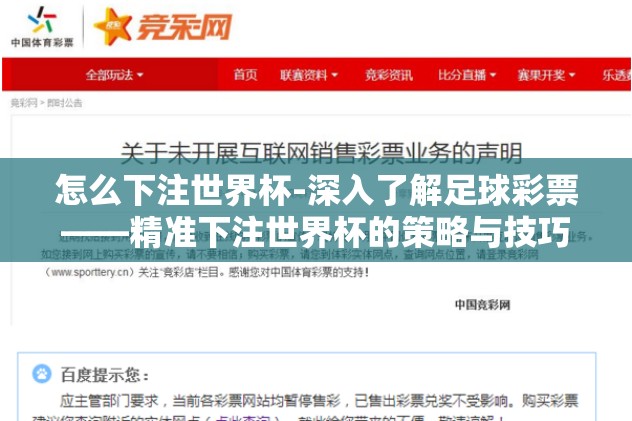 怎么下注世界杯-深入了解足球彩票——精准下注世界杯的策略与技巧