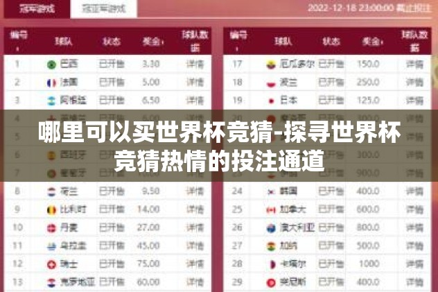 哪里可以买世界杯竞猜-探寻世界杯竞猜热情的投注通道