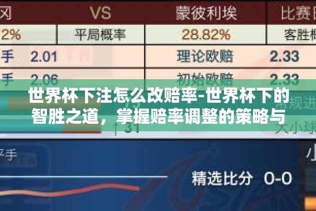 世界杯下注怎么改赔率-世界杯下的智胜之道，掌握赔率调整的策略与技巧