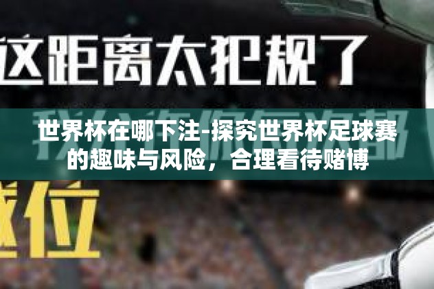 世界杯在哪下注-探究世界杯足球赛的趣味与风险，合理看待赌博