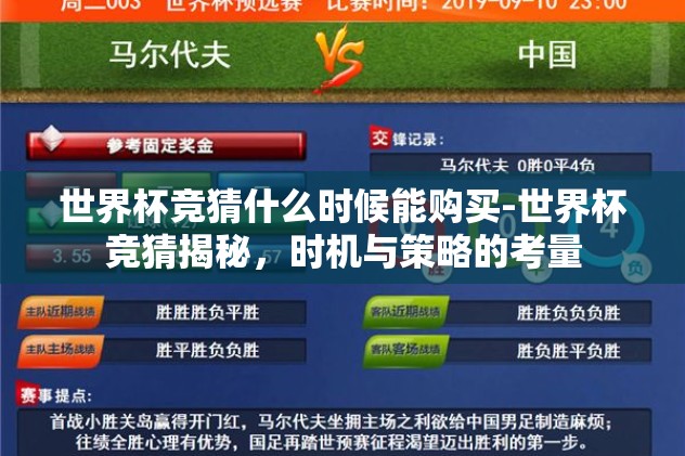 世界杯竞猜什么时候能购买-世界杯竞猜揭秘，时机与策略的考量