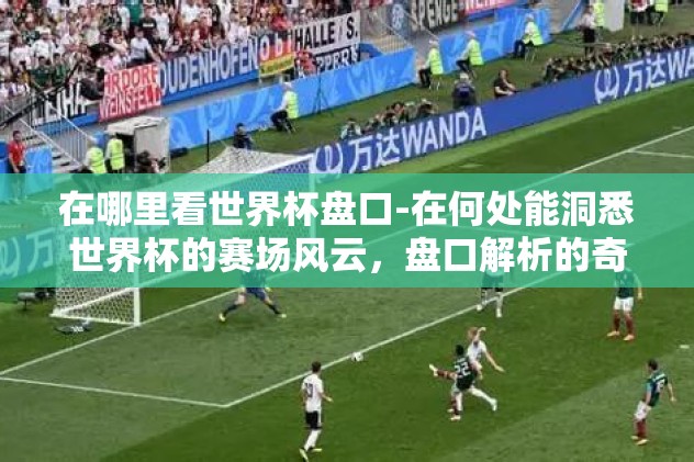 在哪里看世界杯盘口-在何处能洞悉世界杯的赛场风云，盘口解析的奇妙之旅