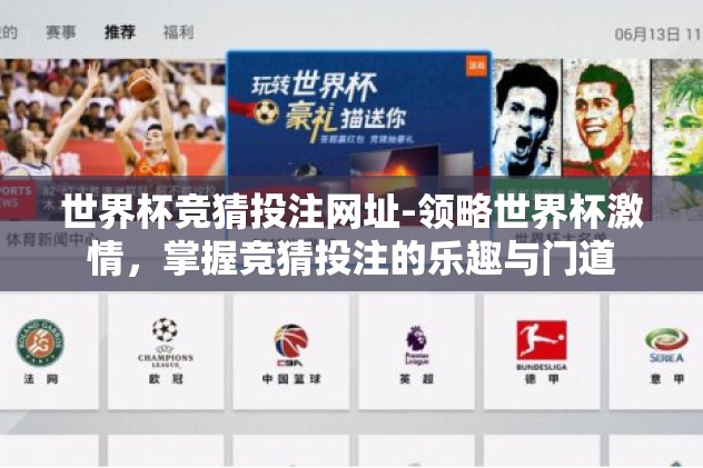 世界杯竞猜投注网址-领略世界杯激情，掌握竞猜投注的乐趣与门道