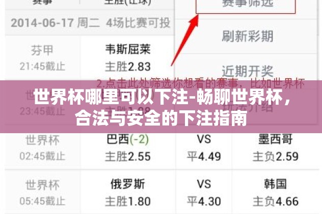 世界杯哪里可以下注-畅聊世界杯，合法与安全的下注指南