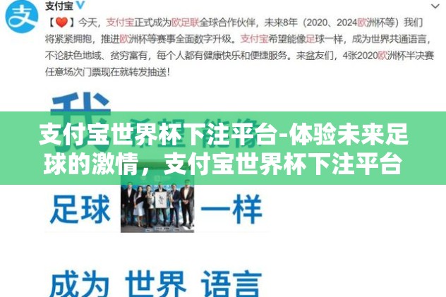 支付宝世界杯下注平台-体验未来足球的激情，支付宝世界杯下注平台的创新与魅力