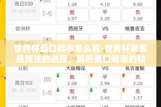 世界杯盘口赔率怎么看-世界杯哪里是赌注的选择，解析盘口赔率的精彩洞察