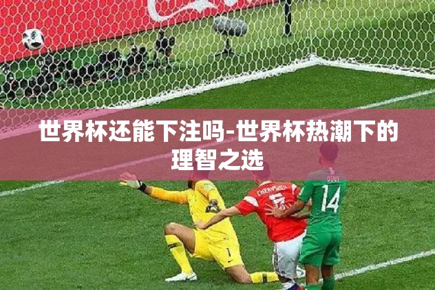 世界杯还能下注吗-世界杯热潮下的理智之选
