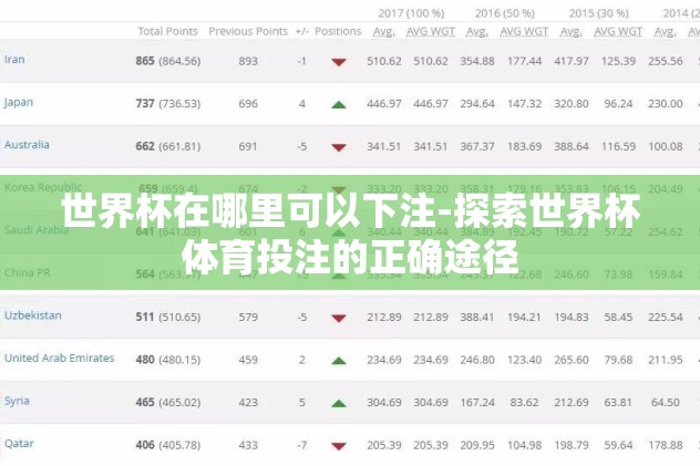世界杯在哪里可以下注-探索世界杯体育投注的正确途径