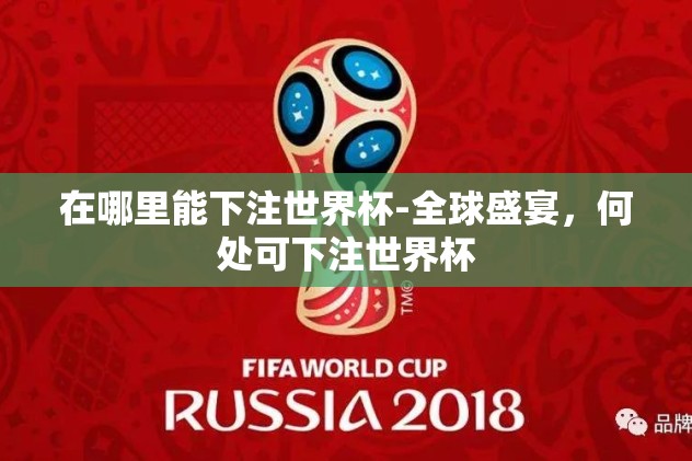 在哪里能下注世界杯-全球盛宴，何处可下注世界杯