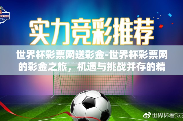 世界杯彩票网送彩金-世界杯彩票网的彩金之旅，机遇与挑战并存的精彩篇章
