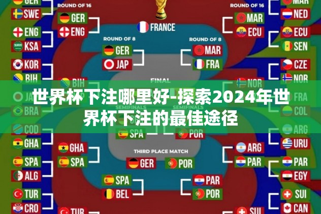 世界杯下注哪里好-探索2024年世界杯下注的最佳途径