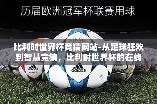 比利时世界杯竞猜网站-从足球狂欢到智慧竞猜，比利时世界杯的在线盛宴
