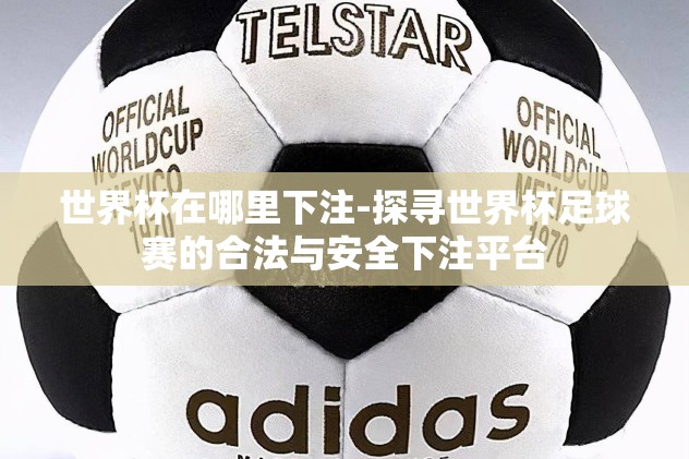世界杯在哪里下注-探寻世界杯足球赛的合法与安全下注平台