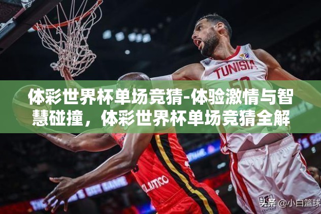 体彩世界杯冠亚军竞猜-世界杯赛场上的智慧博弈，体彩冠亚军竞猜深度剖析