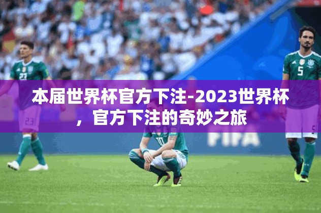 本届世界杯官方下注-2023世界杯，官方下注的奇妙之旅