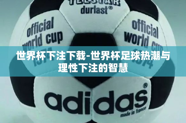 世界杯下注下载-世界杯足球热潮与理性下注的智慧