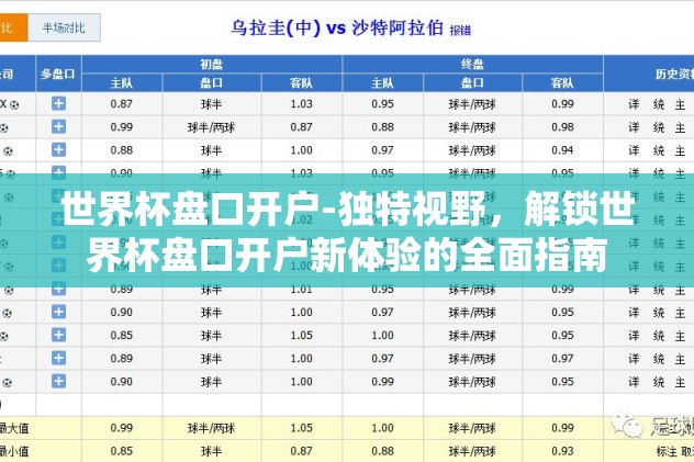 世界杯盘口开户-独特视野，解锁世界杯盘口开户新体验的全面指南