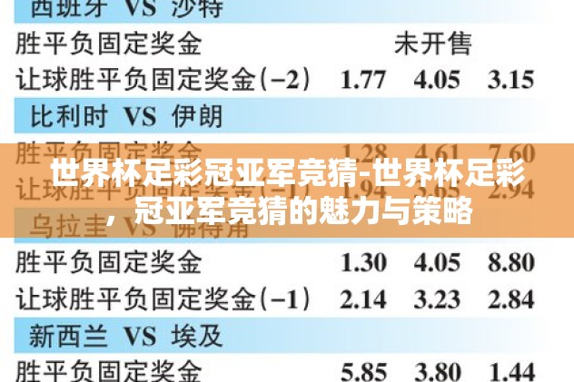 世界杯在哪里下注-观看世界杯，激情与理性的碰撞——在线下注的智慧选择